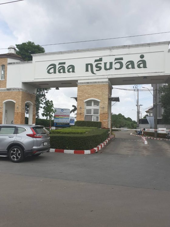 ลลิล กรีนวิวล์ - รูปที่ 4 | อัมพรการม่าน