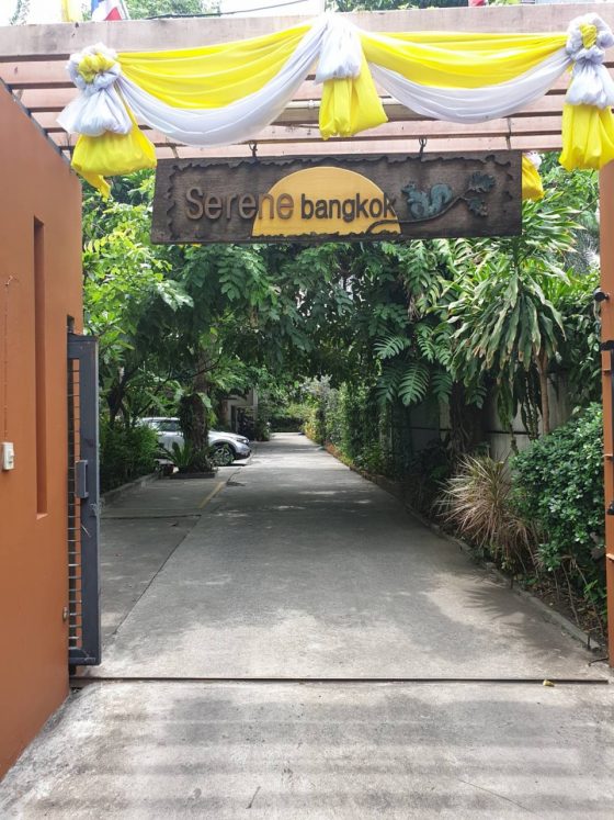 ร้านสิรินสปารัชดาภิเษก ตรงข้าม SCB สำนักงานใหญ่ - รูปที่ 3 | อัมพรการม่าน