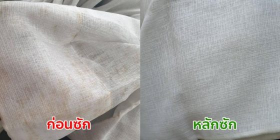 ภาพการทำงานของอัมพรการม่าน รูปที่ 3